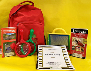 Insects  Backpack