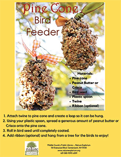 Pine Cone Bird Feeder